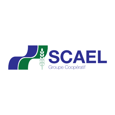Logo SCAEL
