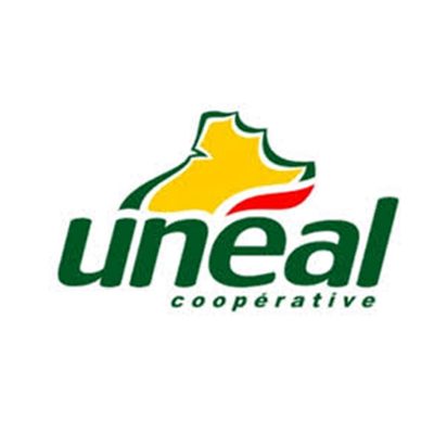 Logo uneal