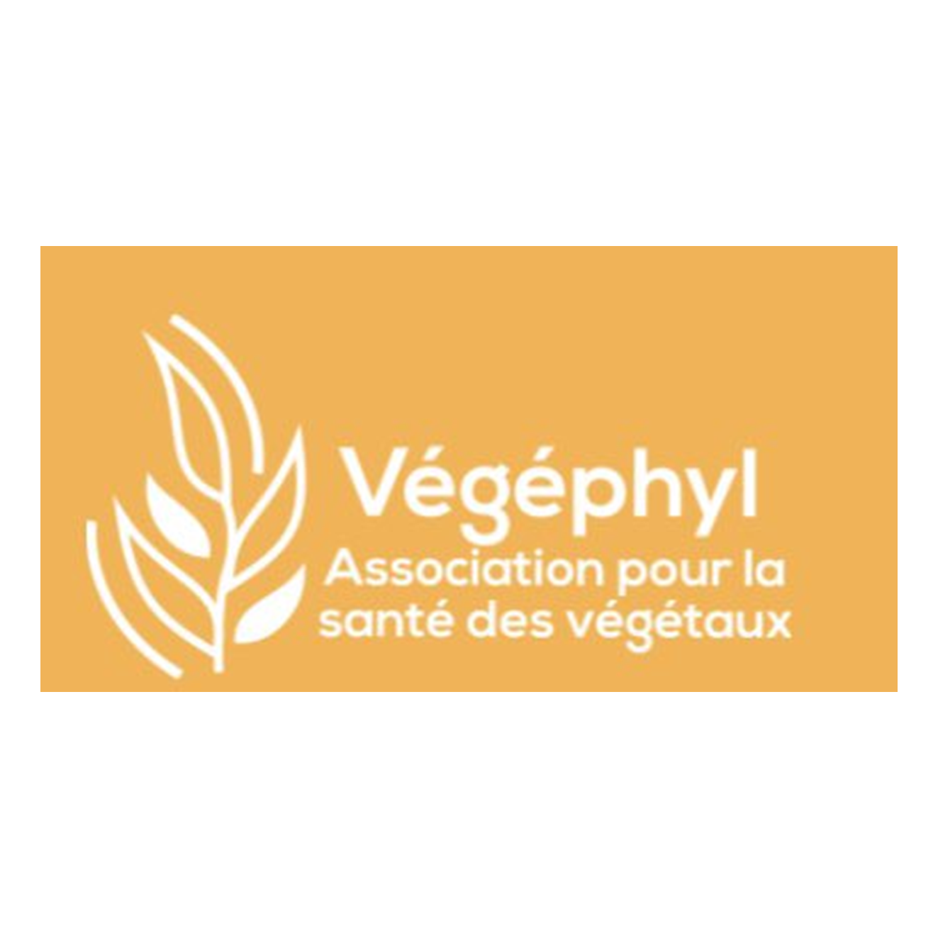Végéphyl logo