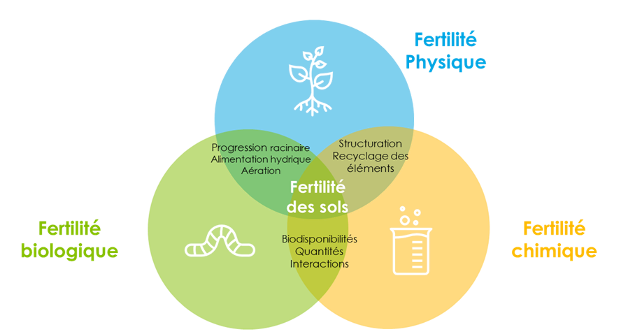 les 3 piliers de la fertilité des sols