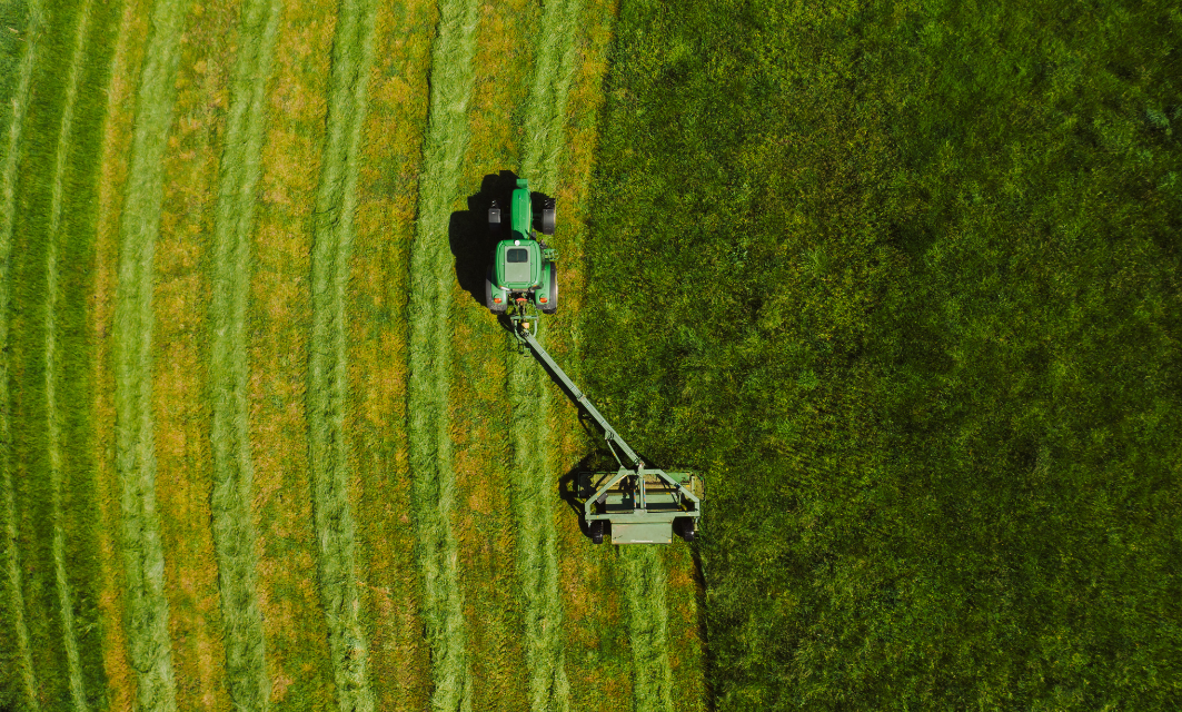 innovation aggricole cour des comptes