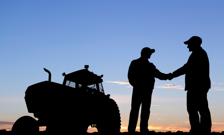 solution accidentologie surus connect