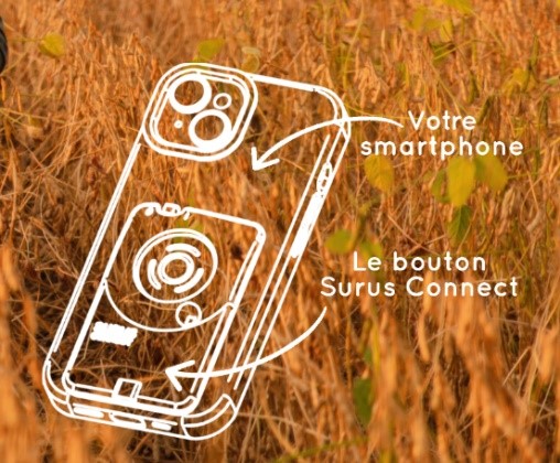 solution surus connect